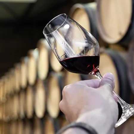 Inspiring Center 1br Porto